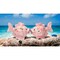 kevinsgiftshoppe Ceramic Pink Fish with Hearts Salt and Pepper Shakers